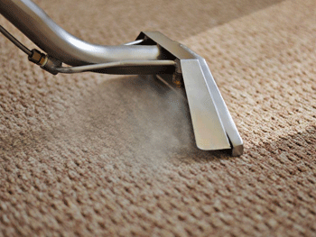 Carpet & Upholstery