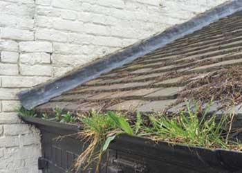 Gutter cleaning