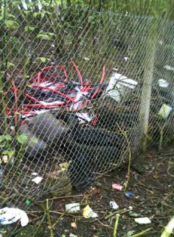 litterpick