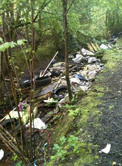 litterpick